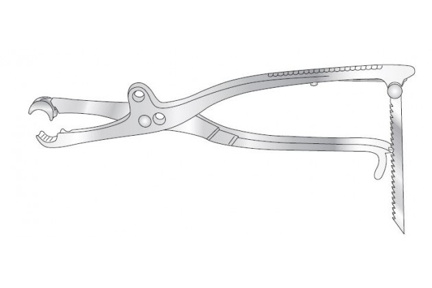 LAMBOTTE BONE HOLDING FORCEPS, 13MM, 260MM LAMBOTTE BONE HOLDING FORCEPS, 10MM, 220MM LAMBOTE BONE HOLDING FORCEPS, 215MM FORCEPS BONE HOLDING LAMBOTTE 330MM