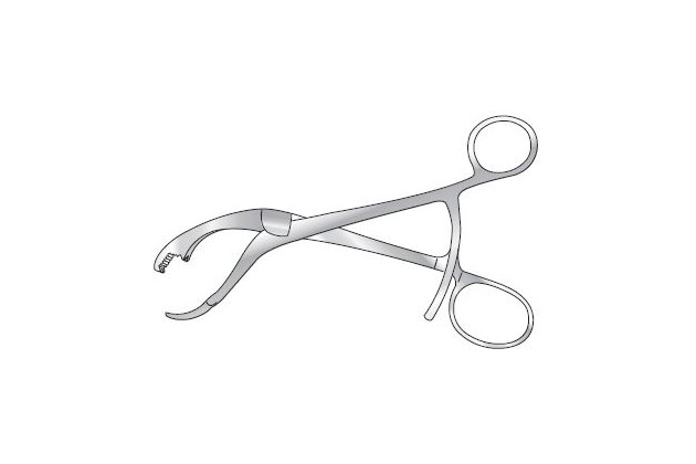 VERBRUGGE BONE HOLDINGS FORCEPS 17.8CM (7`) LONG