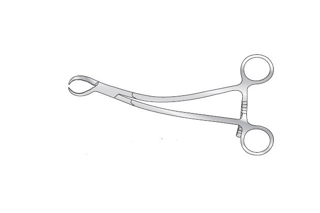 BURNS BONE HOLDING FORCEPS 20.3CM (8`) LONG.